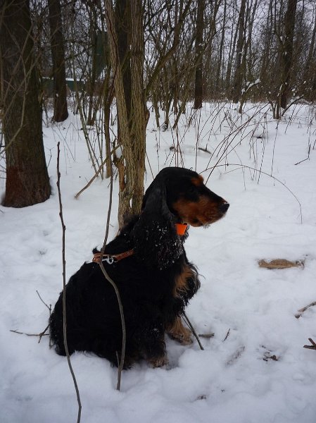 hon_konopiste (81).jpg